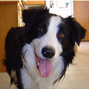 Colby was adopted in January, 2004